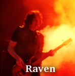 Raven photo