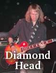 Diamond Head photo