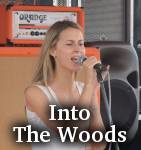 Into The Woods acoustic photo