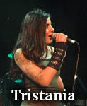 Tristania photo