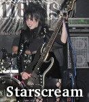 Starscream photo