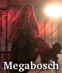 Megabosch photo