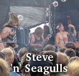 Steve 'n' Seagulls photo