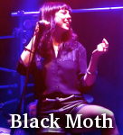 Black Moth photo