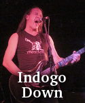 Indigo Down photo