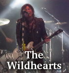 The Wildhearts photo