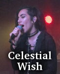 Celestial Wish photo