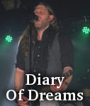 Diary Of Dreams photo