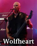 Wolfheart photo