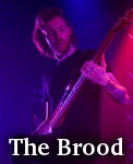 The Brood photo
