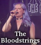 The Bloodstrings photo
