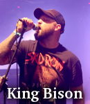 King Bison photo