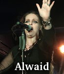 Alwaid photo