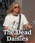 The Dead Daisies photo