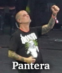 Pantera photo