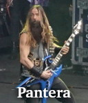 Pantera photo