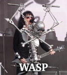 WASP photo