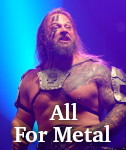 All For Metal photo