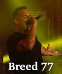 Breed 77 photo