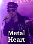 Metal Heart photo