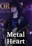 Metal Heart photo