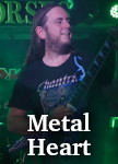 Metal Heart photo