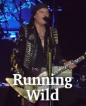 Running Wild photo